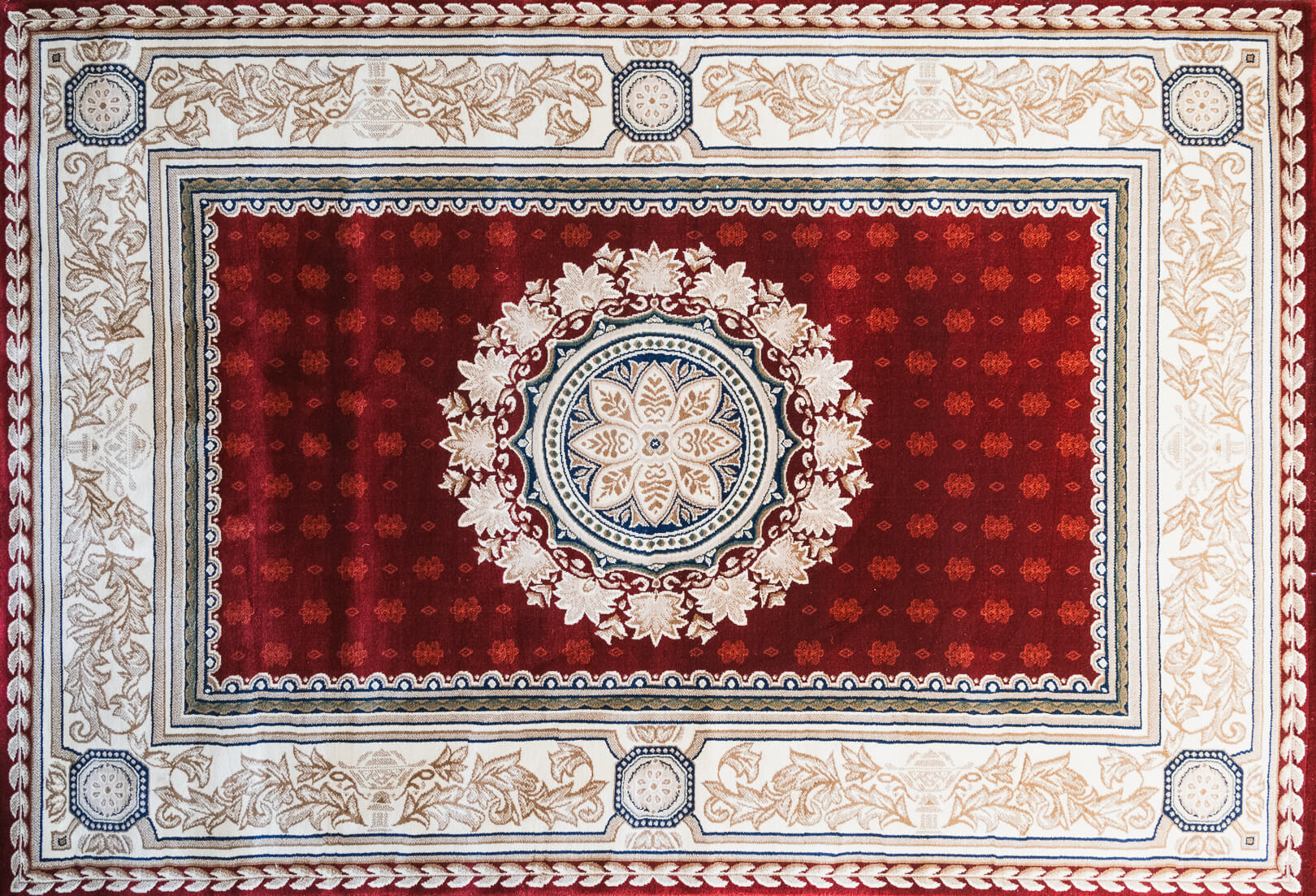 Benevolence T10 Bordo