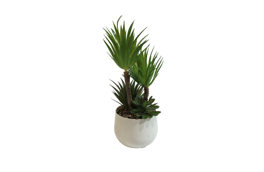Artificial succulent plant in a minimalist white pot – 23cm tall faux greenery for modern home or office décor
