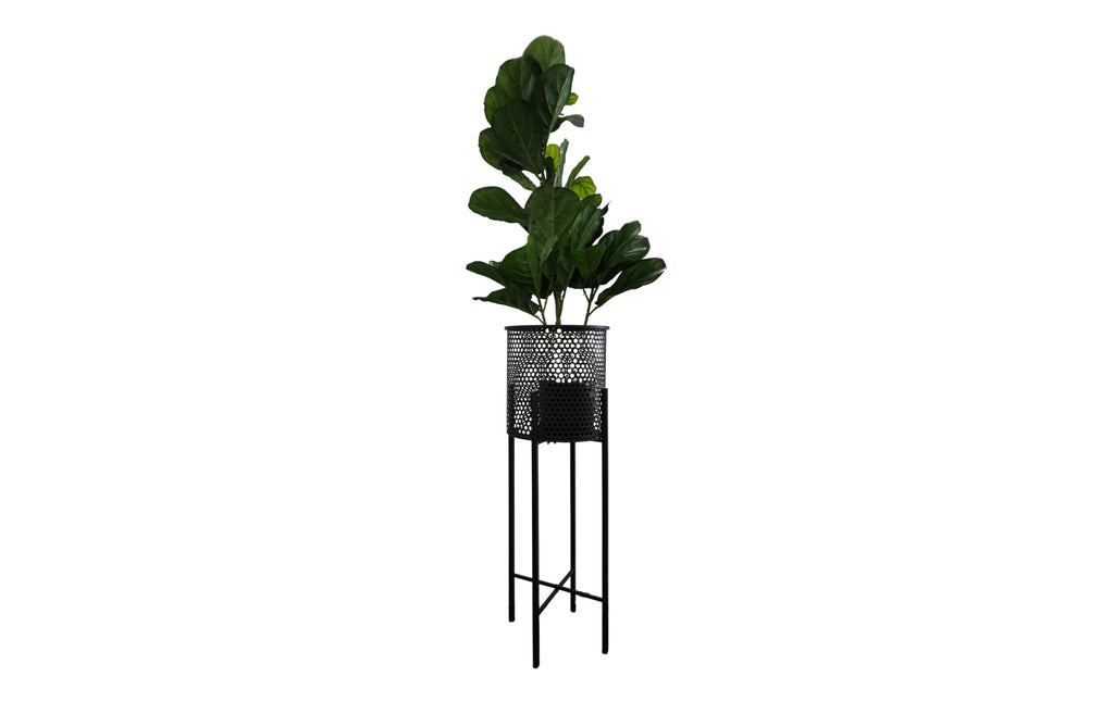 Tall matte black Beehive Planter with leafy green indoor plant on white background.