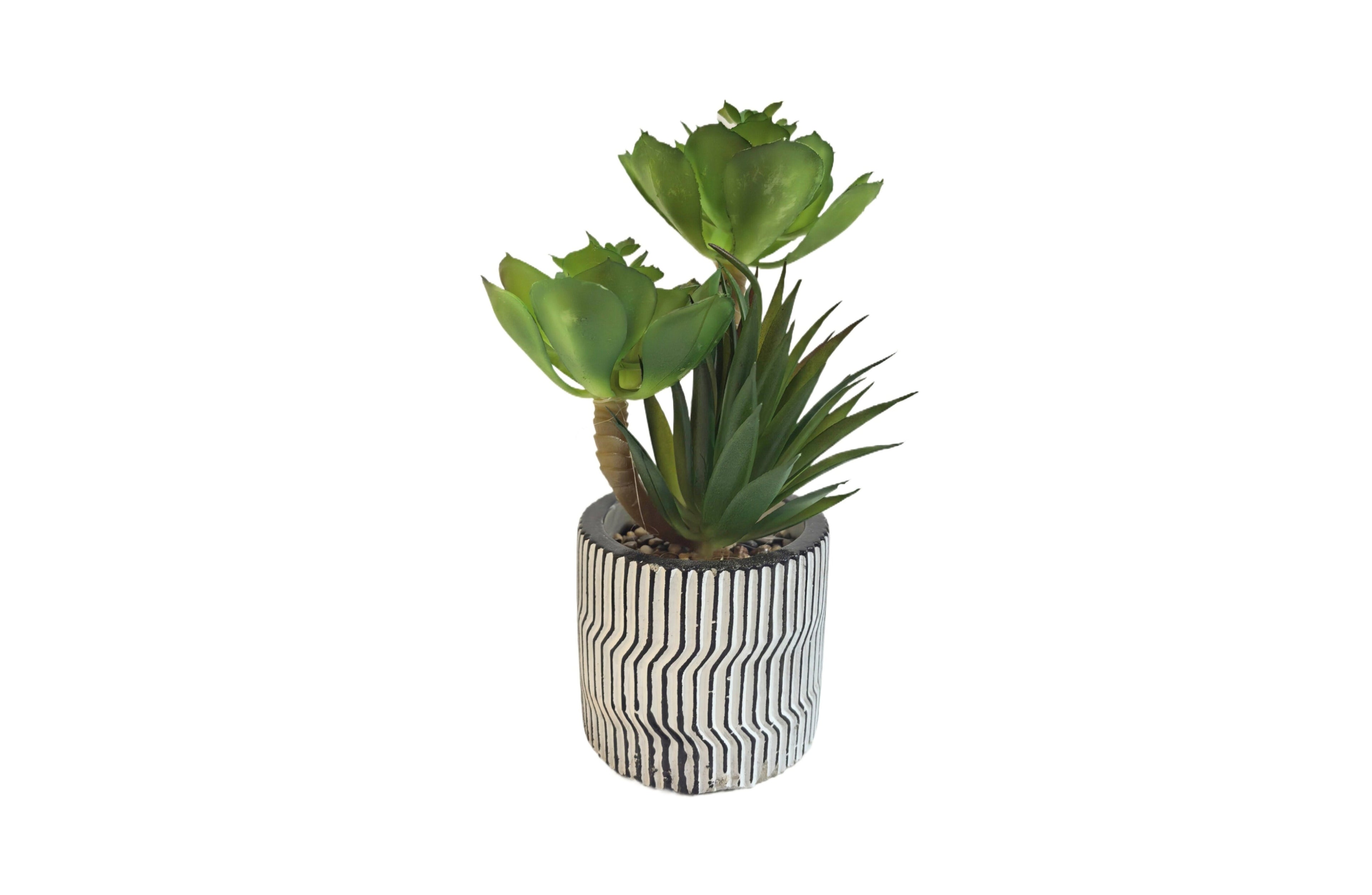 Realistic faux succulent in a stylish modern pot for a fresh, contemporary décor touch.