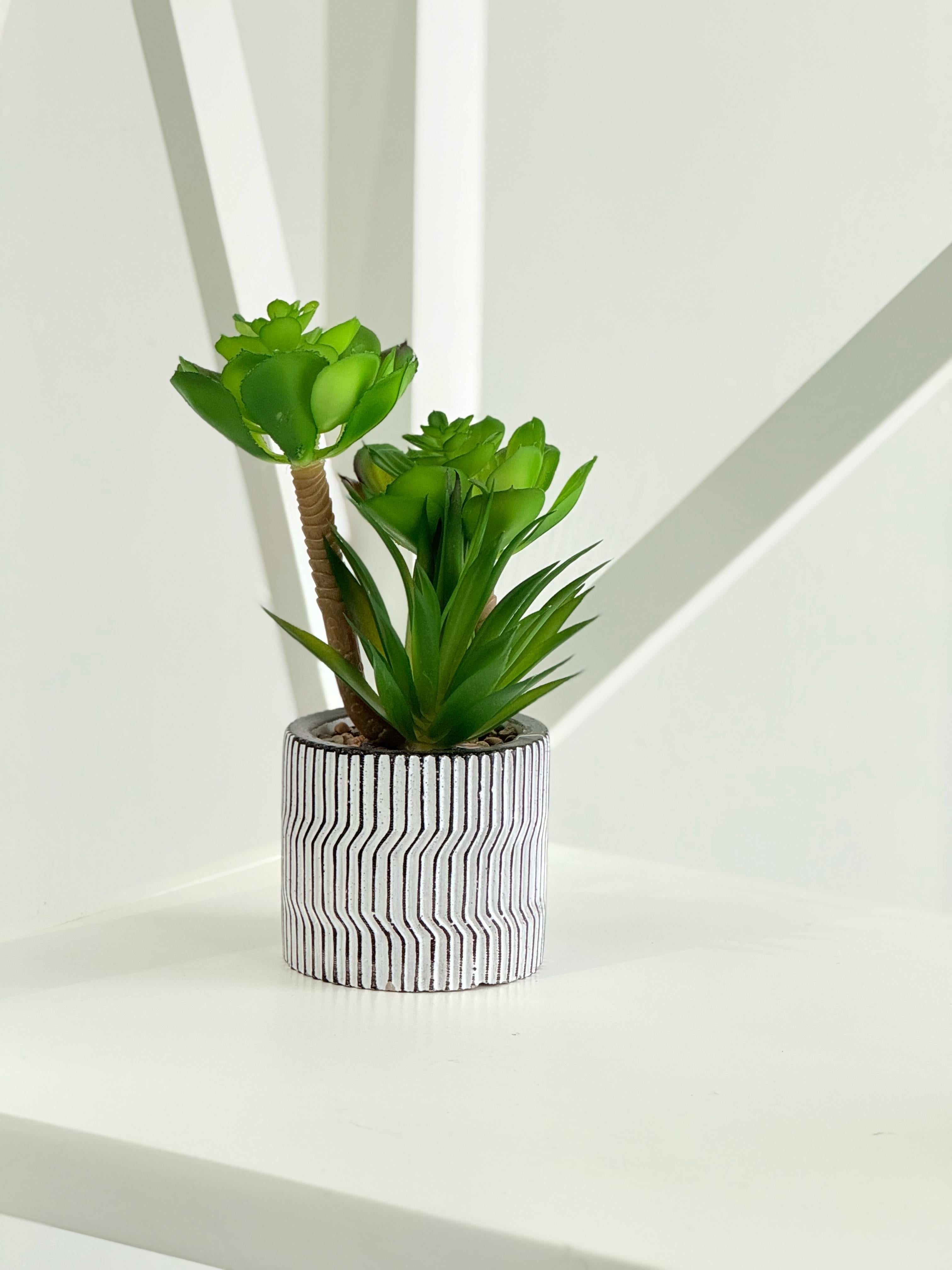 Chic faux succulent in a patterned modern pot, adding greenery to any interior space.