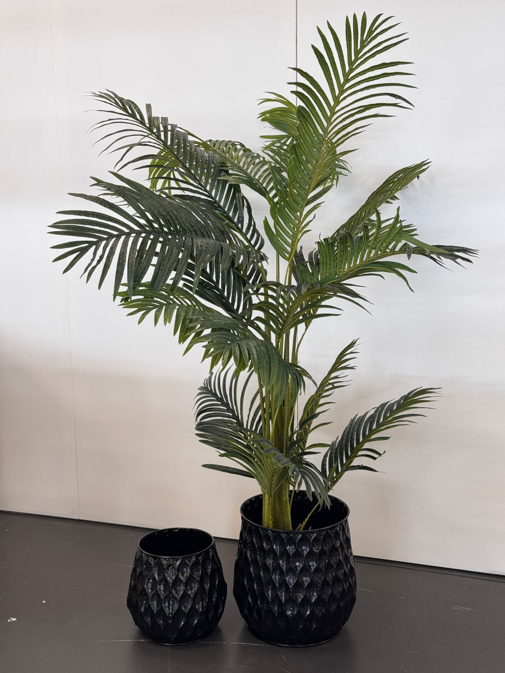 Teagon Planter set in shiny black with lush green indoor plant – styled display