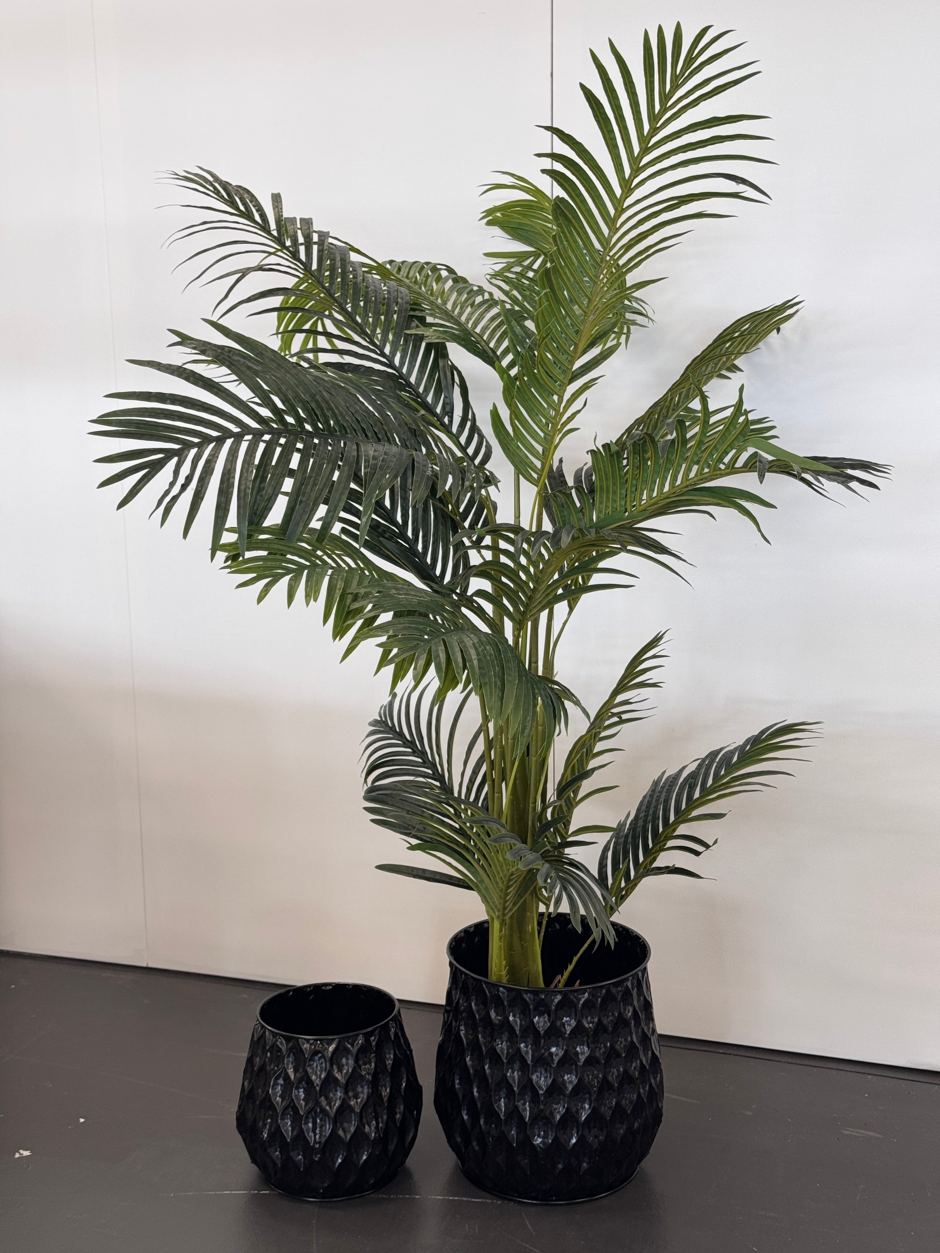 Teagon Planter set in shiny black with lush green indoor plant – styled display