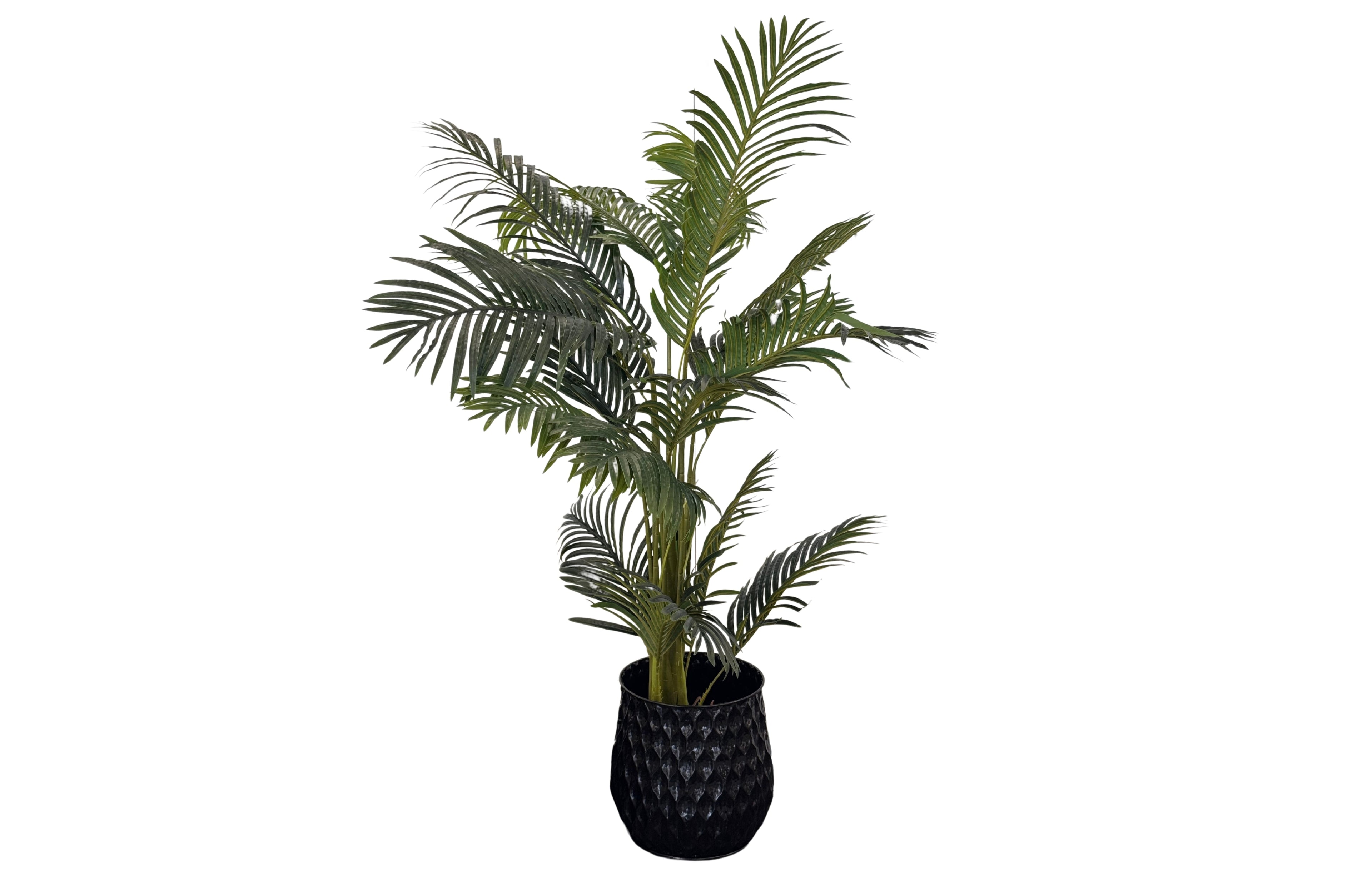 Black Teagon Planter featuring a tall green indoor plant on white background