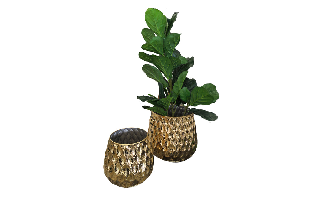 Shiny gold Teagon planter set – large and small sizes with plant display